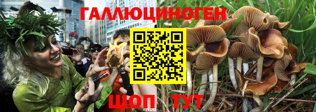 Псилоцибиновые грибы прущие грибы Красноуфимск
